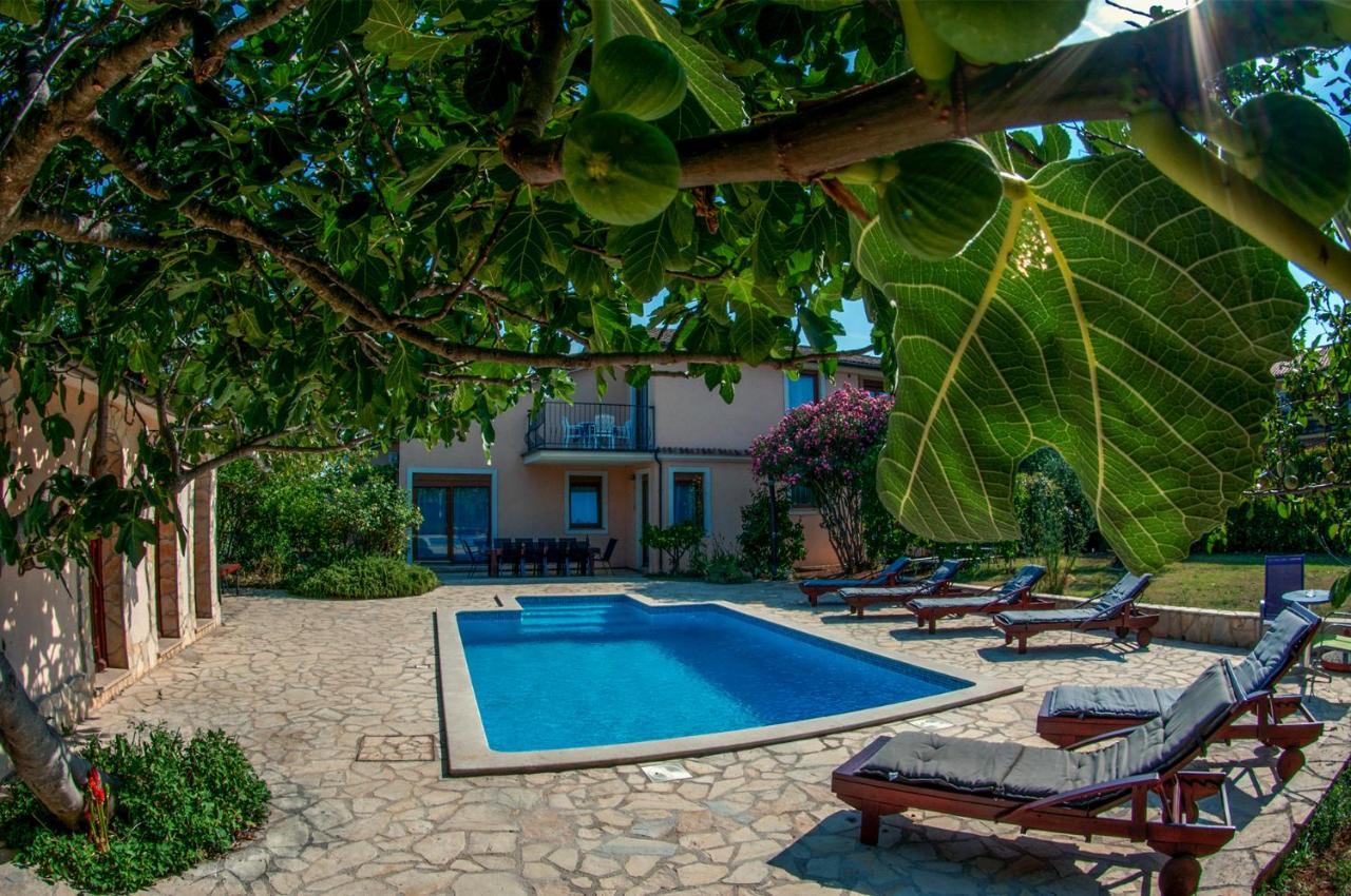 House /Villa Maja Ližnjan Exterior foto
