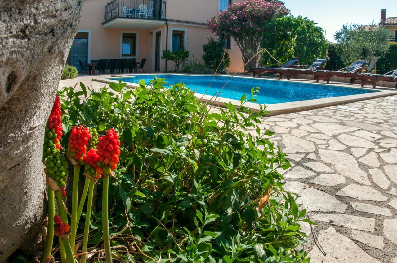 House /Villa Maja Ližnjan Exterior foto